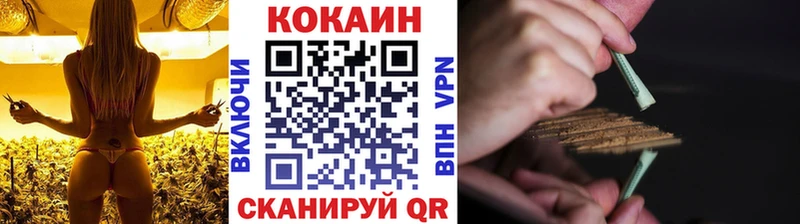COCAIN Эквадор  mega как зайти  Новозыбков 
