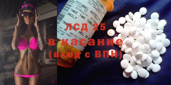 PSILOCYBIN Армянск