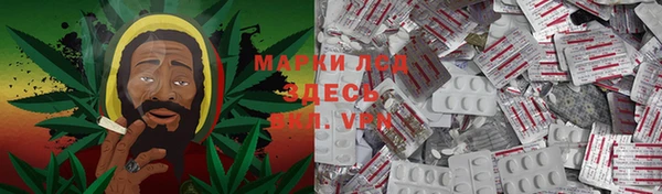 PSILOCYBIN Армянск