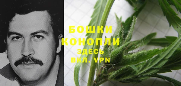 PSILOCYBIN Армянск